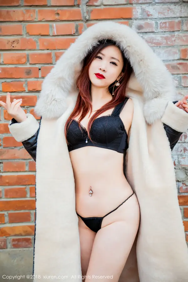 Vol. 00953 西希白兔(67P)