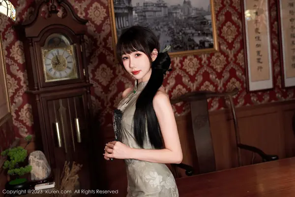 Vol. 07337 波巧酱(91P)