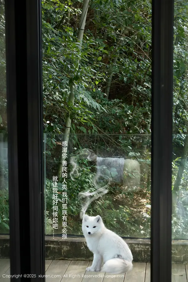 Vol. 11068 尹甜甜(56P)