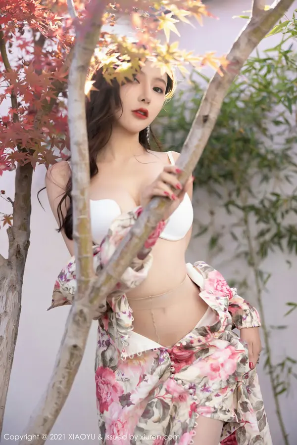 Vol. 0682 王馨瑶yanni(70P)