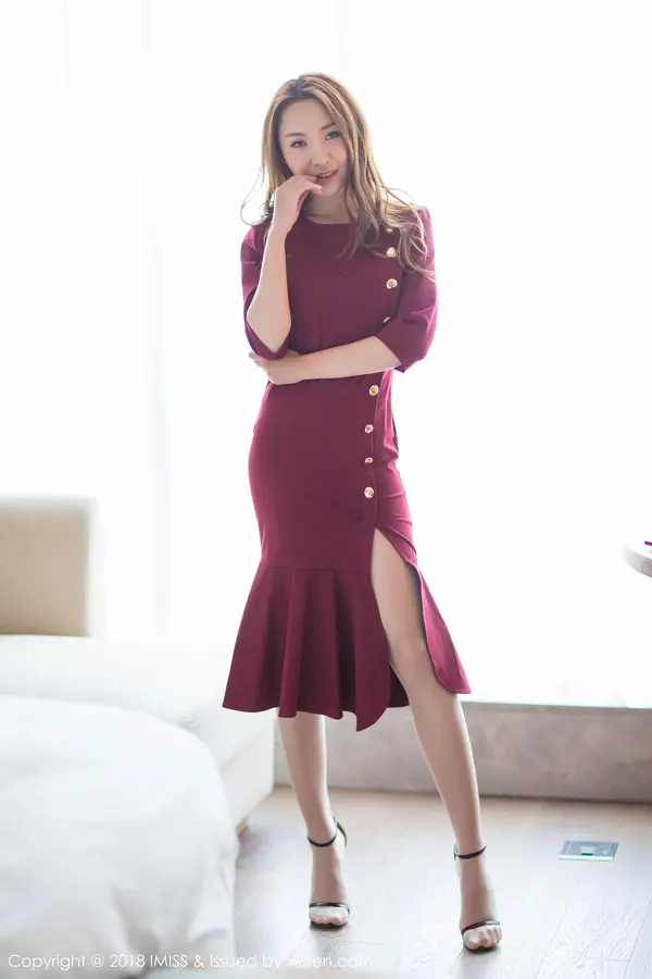 Vol. 0257 Vissa(63P)