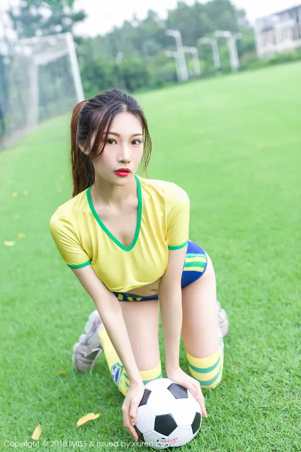 Vol. 0255 小狐狸Sica(33P)