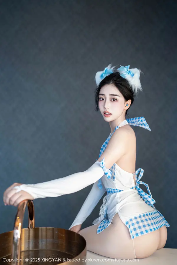 Vol. 0399 阮福福(67P)