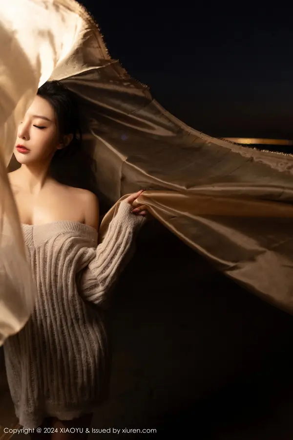 Vol. 1200 王馨瑶yanni(91P)