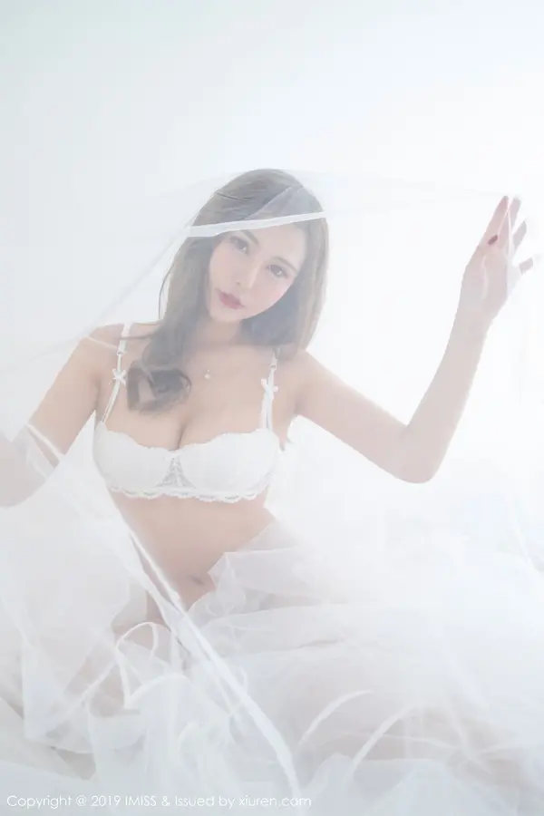 Vol. 0334 Cccil(39P)