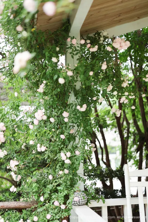 Vol. 10215 茂木希子(83P)