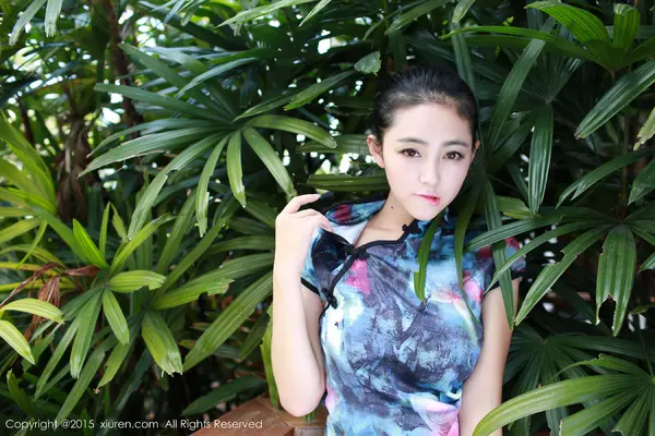 Vol. 00393 夏茉GIGI(74P)