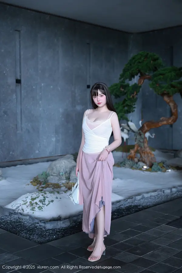 Vol. 10746 软情(87P)