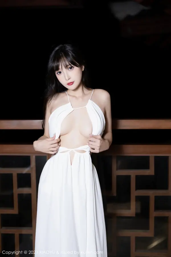 Vol. 1161 林星阑(81P)
