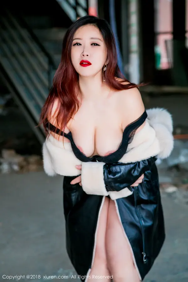 Vol. 00953 西希白兔(67P)