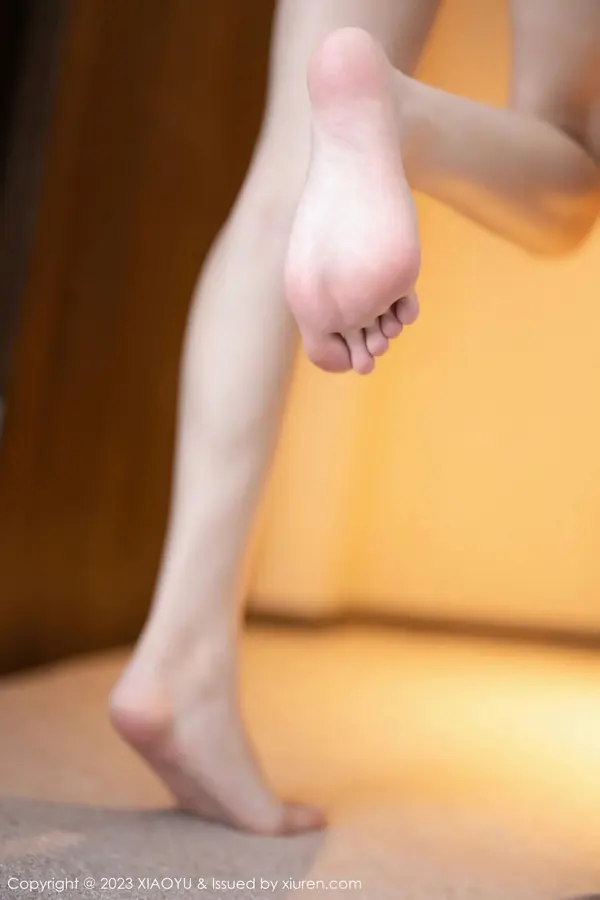 Vol. 1088 林星阑(92P)