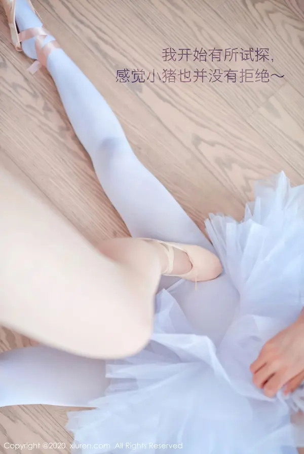 Vol. 02560 白露小猪(42P)