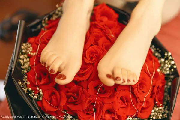 Vol. 03536 玥儿玥er(49P)