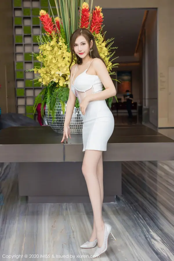 Vol. 0497 Lavinia肉肉(60P)