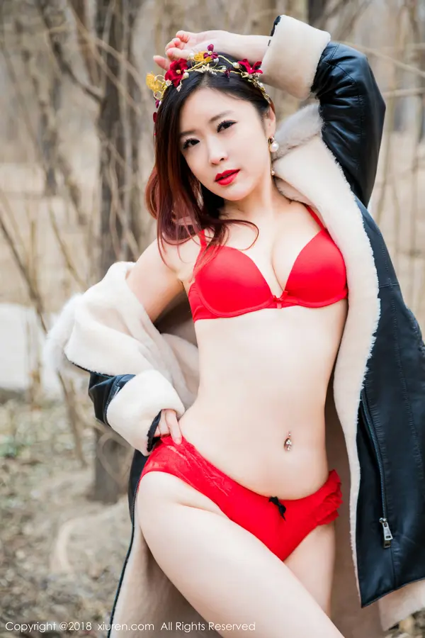 Vol. 00953 西希白兔(67P)