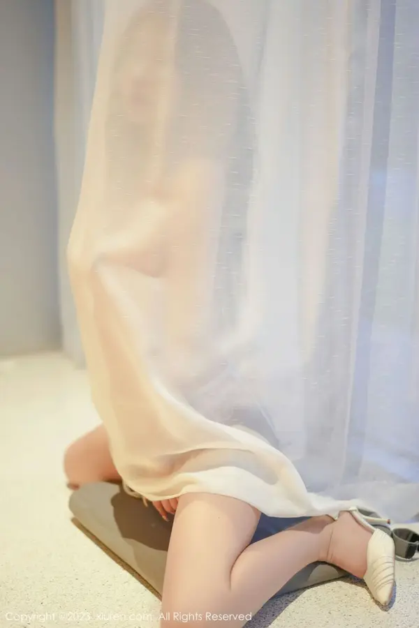 Vol. 06729 laura阿姣(67P)
