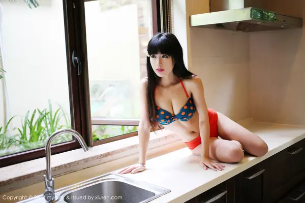 Vol. 0045 刘雪妮Verna(67P)