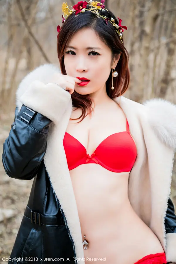 Vol. 00953 西希白兔(67P)