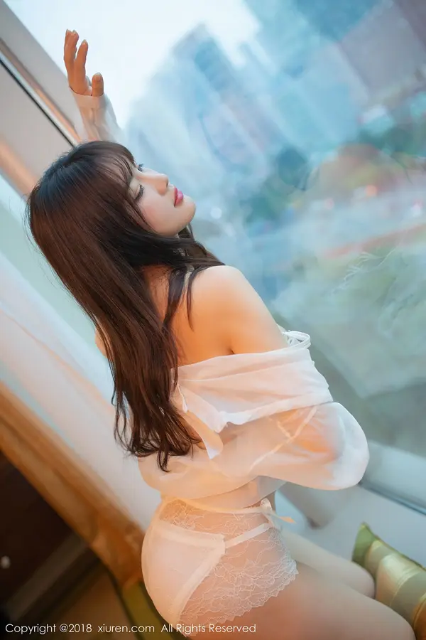 Vol. 01291 小仓鼠(41P)