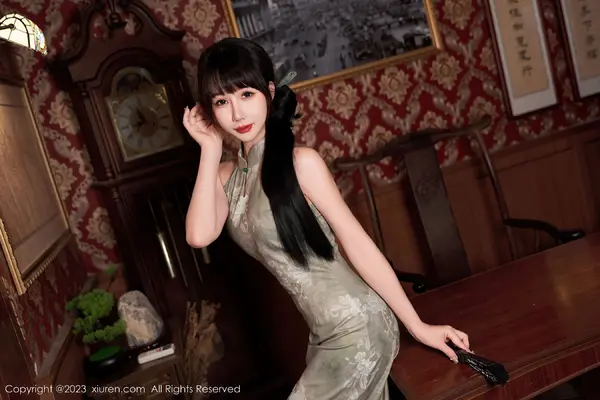 Vol. 07337 波巧酱(91P)