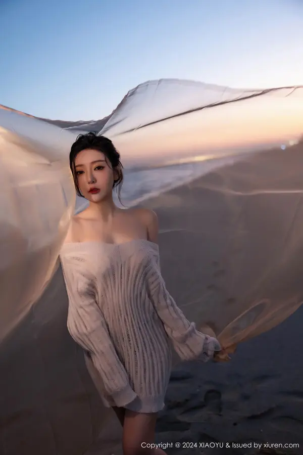 Vol. 1200 王馨瑶yanni(91P)