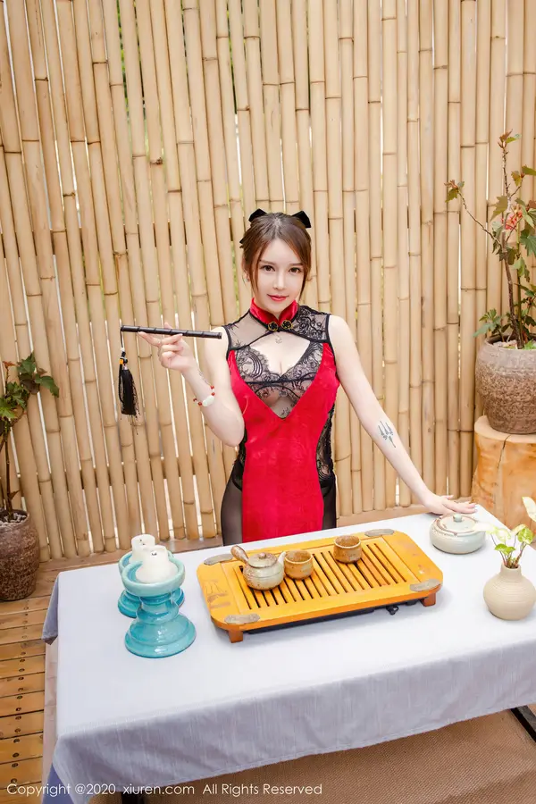 Vol. 02499 玉兔miki(40P)