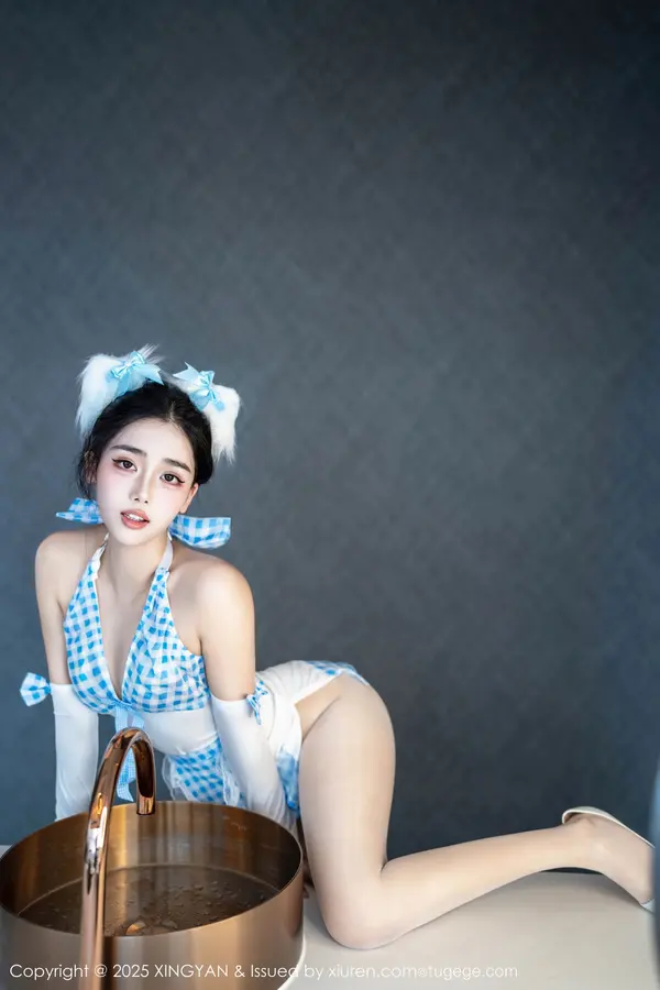 Vol. 0399 阮福福(67P)