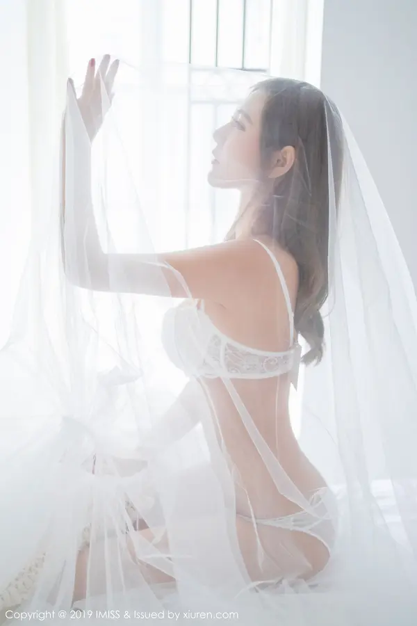 Vol. 0334 Cccil(39P)