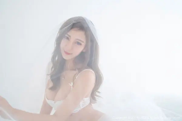 Vol. 0334 Cccil(39P)